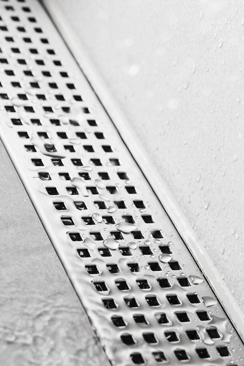 Chess_Purus+Line_6 Purus Line Chess rist